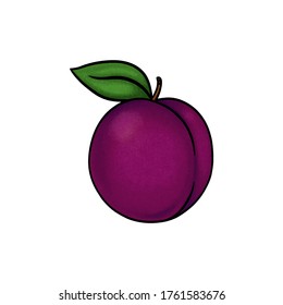 Isolated Plum Illustration On White Background; Isolated Purple Fruit Cartoon