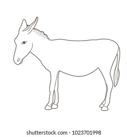 Mammoth Jack Donkey Line Drawing Stock Illustration 2115699242