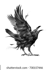 Painted Bird Raven Front On White Stock Illustration 1086321278