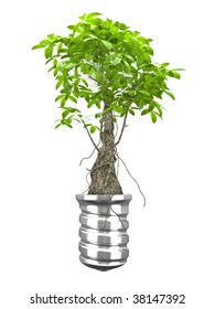 isolated tree in bulb on white background