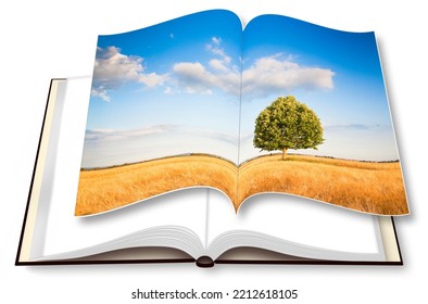 Isolated Tree In A Tuscany Wheat Field - (Italy) - 3D Rendering Of An Opened Photo Book Isolated On White