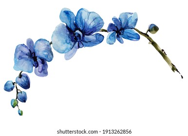 Isolated Watercolor Blue Orchid Flower Hand Drawn Illustration