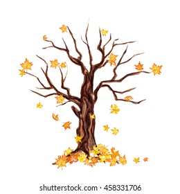 Isolated Watercolor Dry Tree On White Background. Fall, Autumn, Spring Nature. Fine Tree. Yellow Leaves Falling.