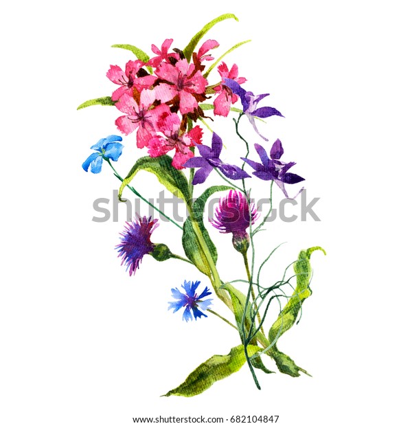 Isolated Watercolor Field Flowers 스톡 일러스트 682104847