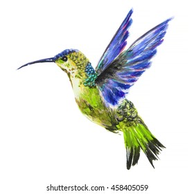 Watercolor Illustration Flying Hummingbird Isolated On Stock ...