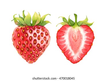 Isolated Watercolor Strawberry