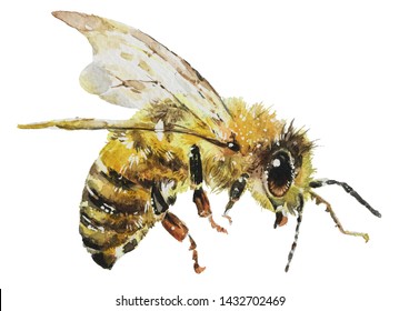 2,827 Honey bee paintings Images, Stock Photos & Vectors | Shutterstock