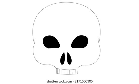 isolated white skull  dead human without jaw
