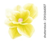 
Isolated yellow flower with large petals open in all its splendor