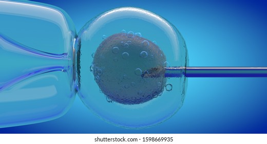 IVF Cell And Needle Injecting, 3D CGI Render With Blue Color, Cell Stung By A Medical Needle