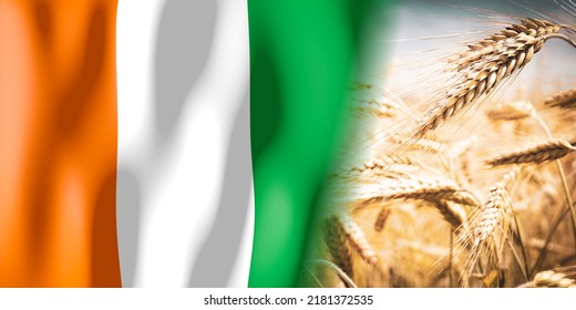 Ivory Coast - Flag And Ripe Rye Field - 3D Illustration