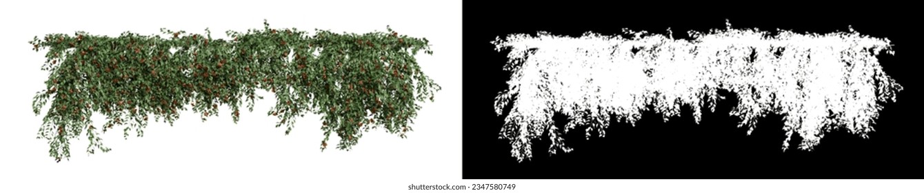 ivy orange trumpet vine on a transparent background 3D render