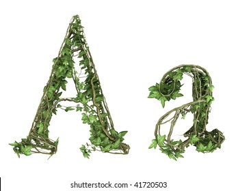 Ivy Plant Font Nature