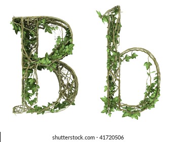 Ivy Plant Font Nature