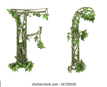 Ivy plant font nature