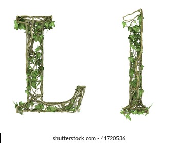 Ivy Plant Font Nature