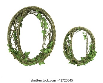 Ivy Plant Font Nature