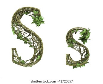 Ivy Plant Font Nature