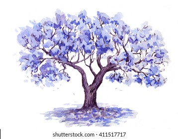 The Jacaranda Trees.Watercolor Sketch