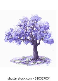 The Jacaranda Trees.Watercolor Sketch