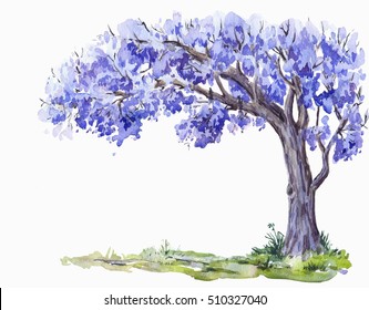 The Jacaranda Trees.Watercolor Sketch