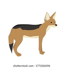 27+ Clipart jackal walking in field cartoon