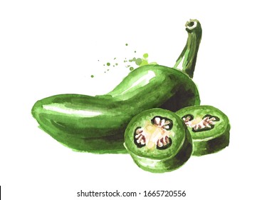 Jalapeno green hot chili green pepper. Hand drawn watercolor illustration  isolated on white background