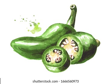 Jalapeno green hot chili pepper, whole and sliced pods. Hand drawn watercolor illustration  isolated on white background