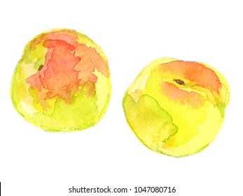 梅の実 のイラスト素材 画像 ベクター画像 Shutterstock