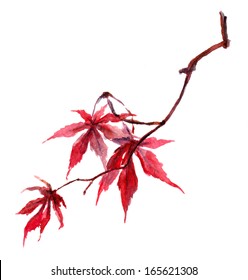 Japanese autumn branch and red maple leaves