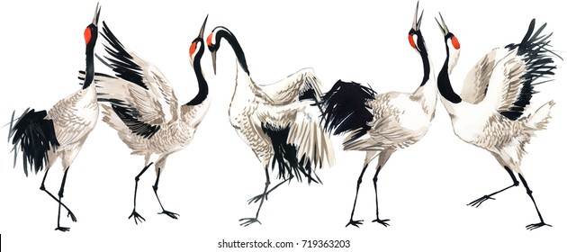 Japanese crane bird watercolor illustration. 