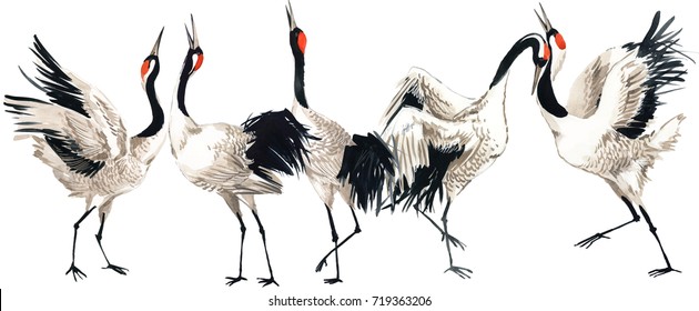 Japanese crane bird watercolor illustration. 