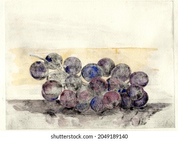 Japanese Grape Drawn By Etching Technique.