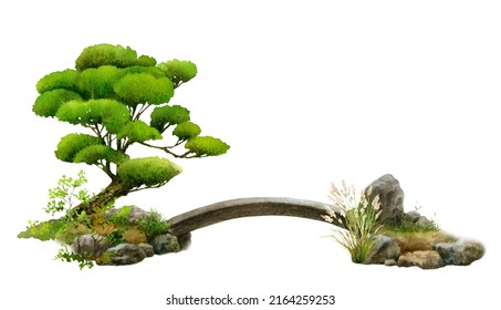 A Japanese landscape with a garden bridge, stones, herbs and a tree hand drawn in watercolor on a white background. Watercolor illustration.