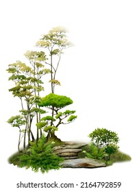 A Japanese landscape with green bushes, ferns and trees next to a stone path in a Japanese garden hand drawn in watercolor on a white background. Watercolor illustration. 	
