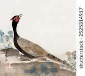 Japanese pheasant (1658-1716) vintage painting by Ogata Korin. Antique Japanese ink painting illustration, old ink painting art ,