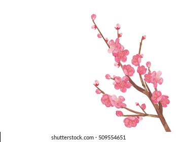 桜 手書き のイラスト素材 画像 ベクター画像 Shutterstock