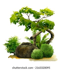 A Japanese stone well next to green bushes, ferns and a tree in a Japanese garden hand drawn in watercolor on a white background. Watercolor illustration. Japanese landscape.	
