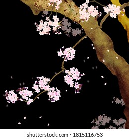 夜桜 和風 のイラスト素材 画像 ベクター画像 Shutterstock