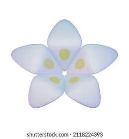 275 Jasmine Flower 3d Images, Stock Photos & Vectors 