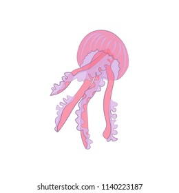 Jellyfish Illustration On White Background Illustration Stock ...