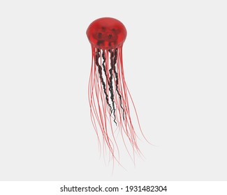 Jellyfish isolated on grey background. 3d rendering - illustration