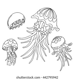 jellyfish set. Hand drawn elements, doodles. 