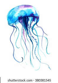 Акварельная иллюстрация медузы. Картина Медузы, изолированная на белом фоне, красочный дизайн татуировки. Иллюстрация медуз. 