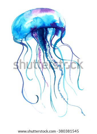 Jellyfish watercolor illustration. Medusa painting isolated on white background, colorful tattoo design. Jelly fish illustration. 