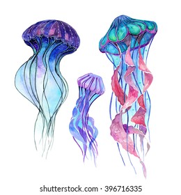Jellyfish. Watercolor set. Sea life