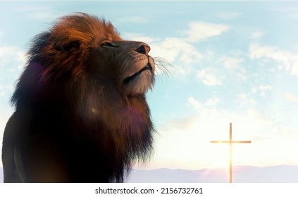 Jesus Christ Is The Lion Of The Tribe Of Judah - 3D Illustration