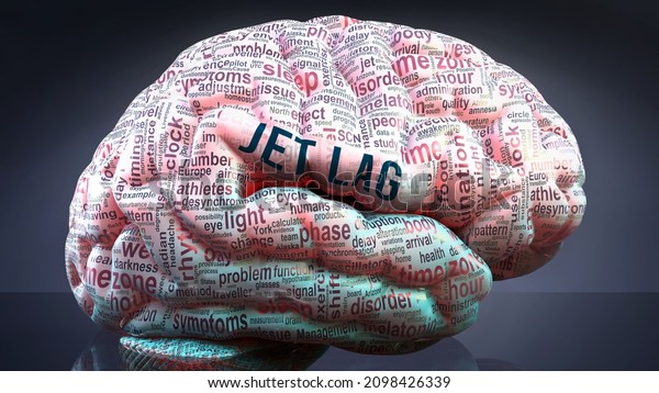 Jet lag\
in human brain, hundreds of crucial terms related to Jet lag\
projected onto a cortex to show broad extent of the condition and\
to explore concepts linked to it, 3d\
illustration