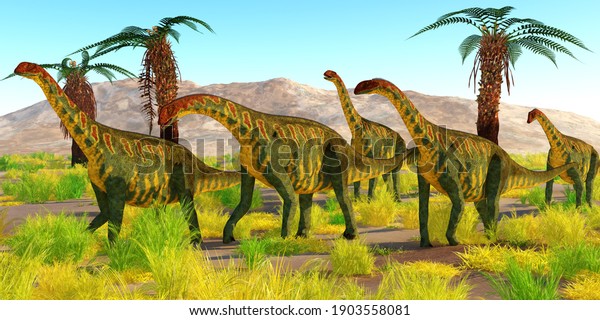 
Jobaria Dinosaurs 3d illustration - A herd of Jobaria dinosaurs travel together in the Sahara desert, Africa during the Jurassic Period.