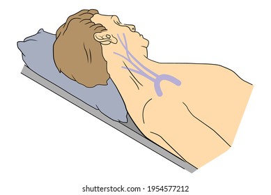 Jugular Vein Assessment, Non Invasive Hemodynamic Assessment Of The Patient.